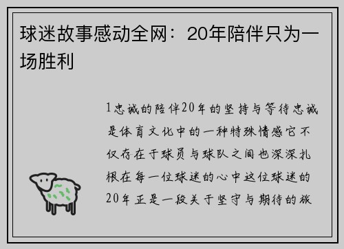 球迷故事感动全网：20年陪伴只为一场胜利